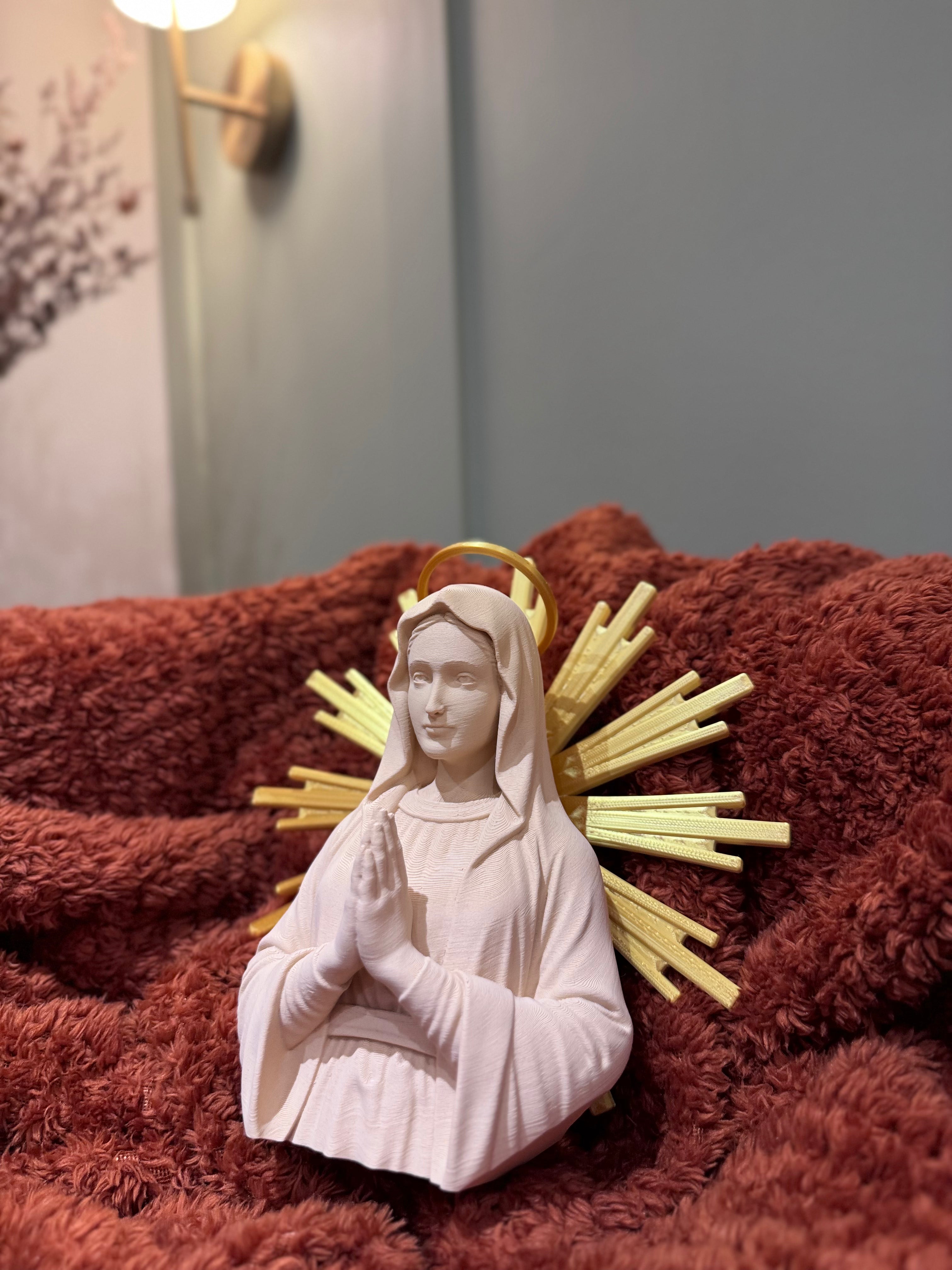 Pray for us, O holy Mother of God 3D Sacred Art