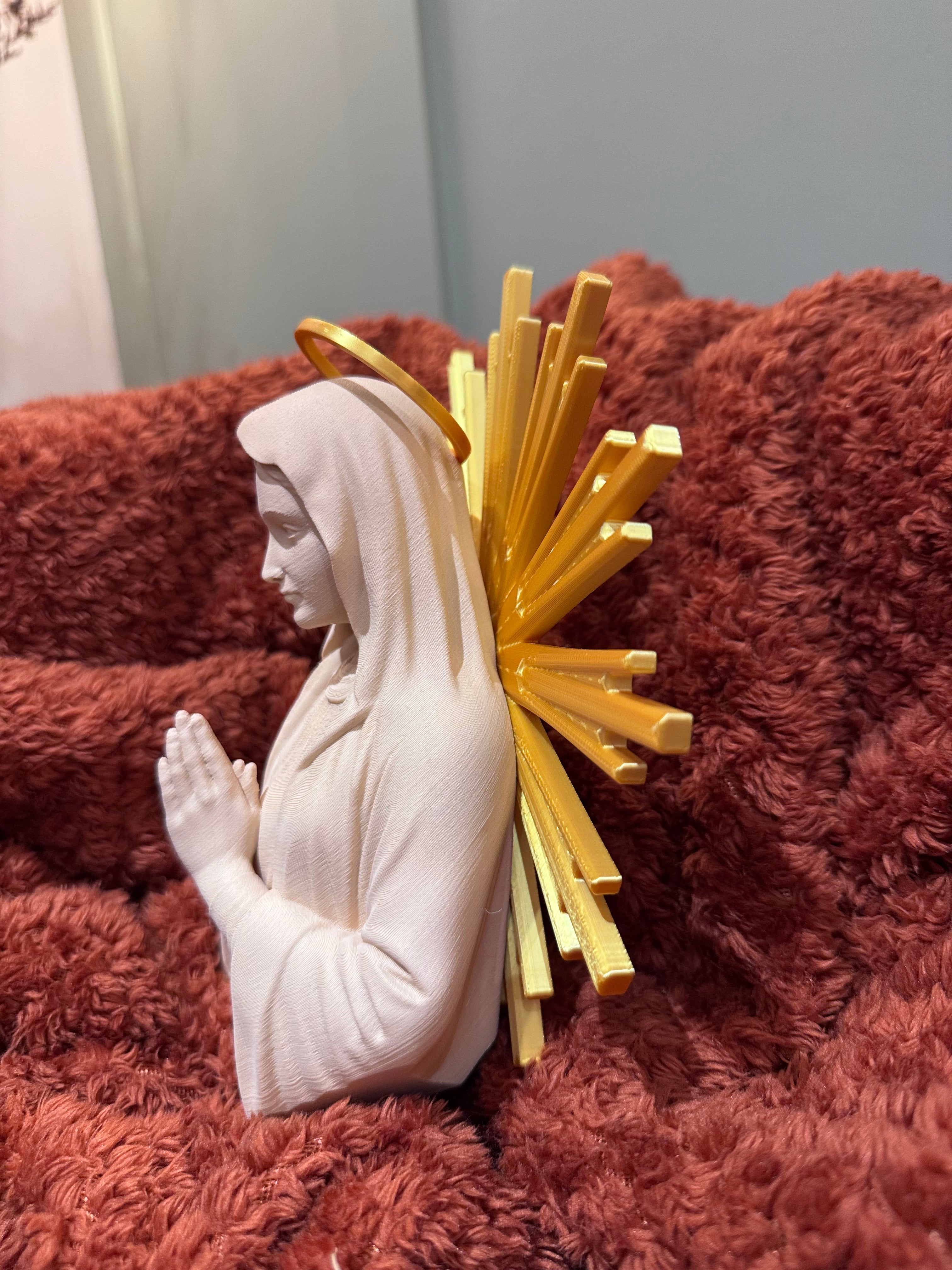 Pray for us, O holy Mother of God 3D Sacred Art